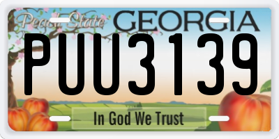 GA license plate PUU3139