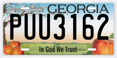 GA license plate PUU3162