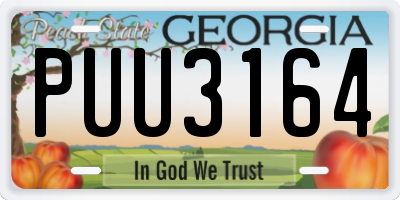GA license plate PUU3164