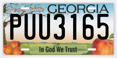 GA license plate PUU3165