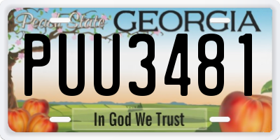 GA license plate PUU3481