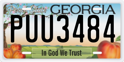GA license plate PUU3484
