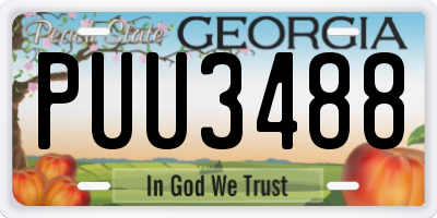 GA license plate PUU3488