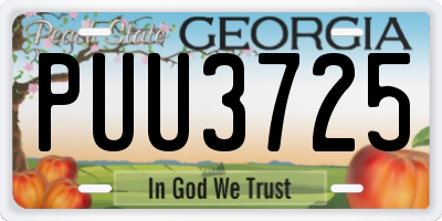 GA license plate PUU3725