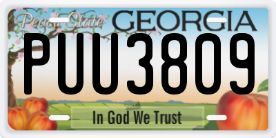 GA license plate PUU3809