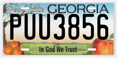 GA license plate PUU3856