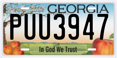 GA license plate PUU3947