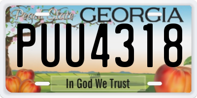 GA license plate PUU4318