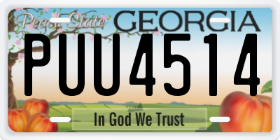 GA license plate PUU4514