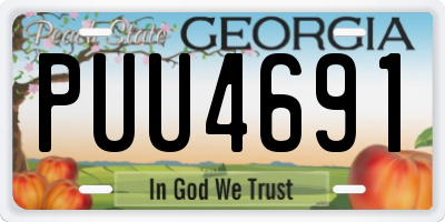 GA license plate PUU4691