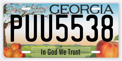 GA license plate PUU5538