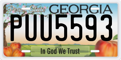 GA license plate PUU5593