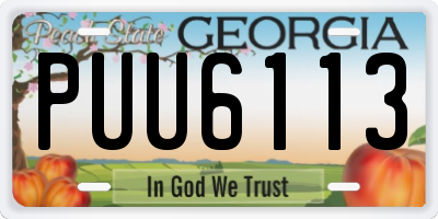 GA license plate PUU6113