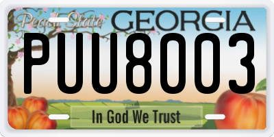 GA license plate PUU8003
