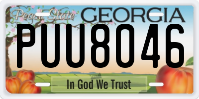 GA license plate PUU8046