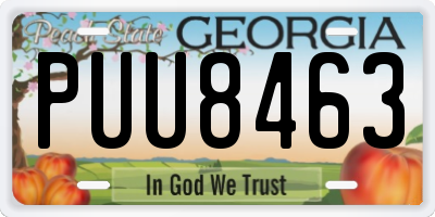 GA license plate PUU8463