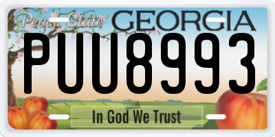 GA license plate PUU8993