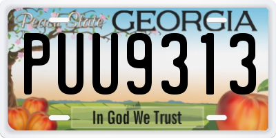GA license plate PUU9313