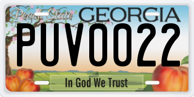 GA license plate PUV0022