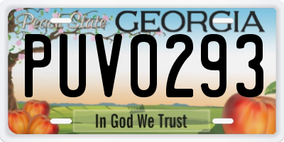 GA license plate PUV0293