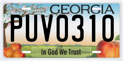 GA license plate PUV0310