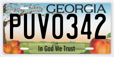 GA license plate PUV0342