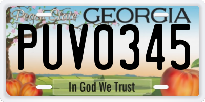 GA license plate PUV0345