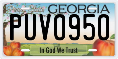 GA license plate PUV0950