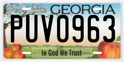 GA license plate PUV0963