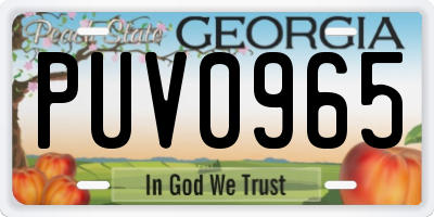 GA license plate PUV0965