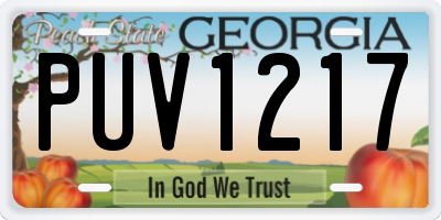 GA license plate PUV1217