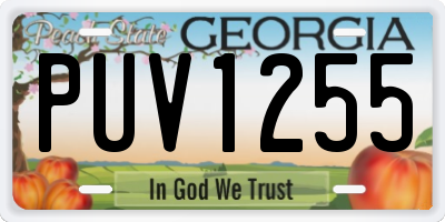GA license plate PUV1255
