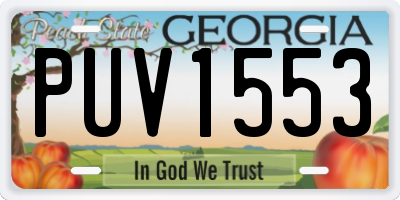 GA license plate PUV1553