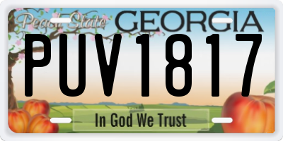 GA license plate PUV1817