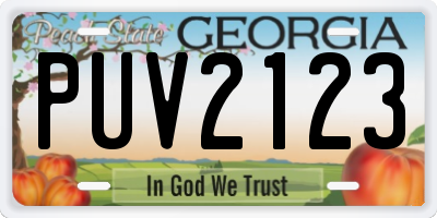 GA license plate PUV2123