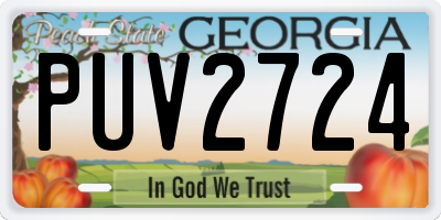 GA license plate PUV2724