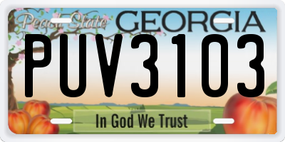 GA license plate PUV3103