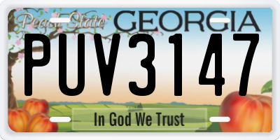 GA license plate PUV3147