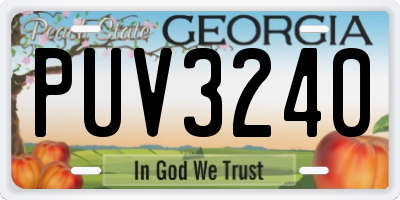GA license plate PUV3240