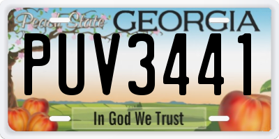 GA license plate PUV3441