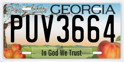 GA license plate PUV3664