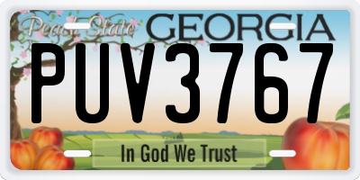 GA license plate PUV3767
