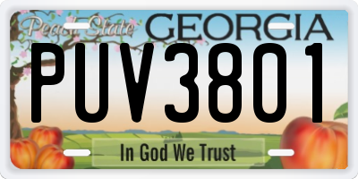 GA license plate PUV3801
