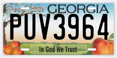 GA license plate PUV3964
