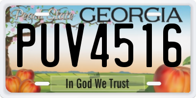 GA license plate PUV4516
