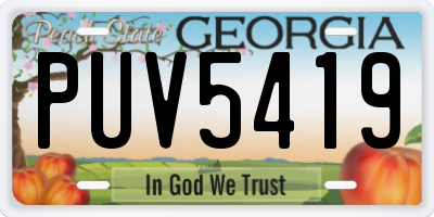 GA license plate PUV5419