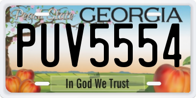 GA license plate PUV5554