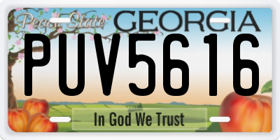 GA license plate PUV5616