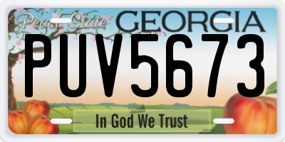 GA license plate PUV5673