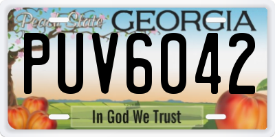 GA license plate PUV6042